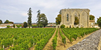 Chateau Les Grandes Murailles Weinberge